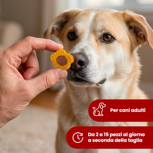 Camon Mini Snacks Mix stelle cervo snack cane 500 g