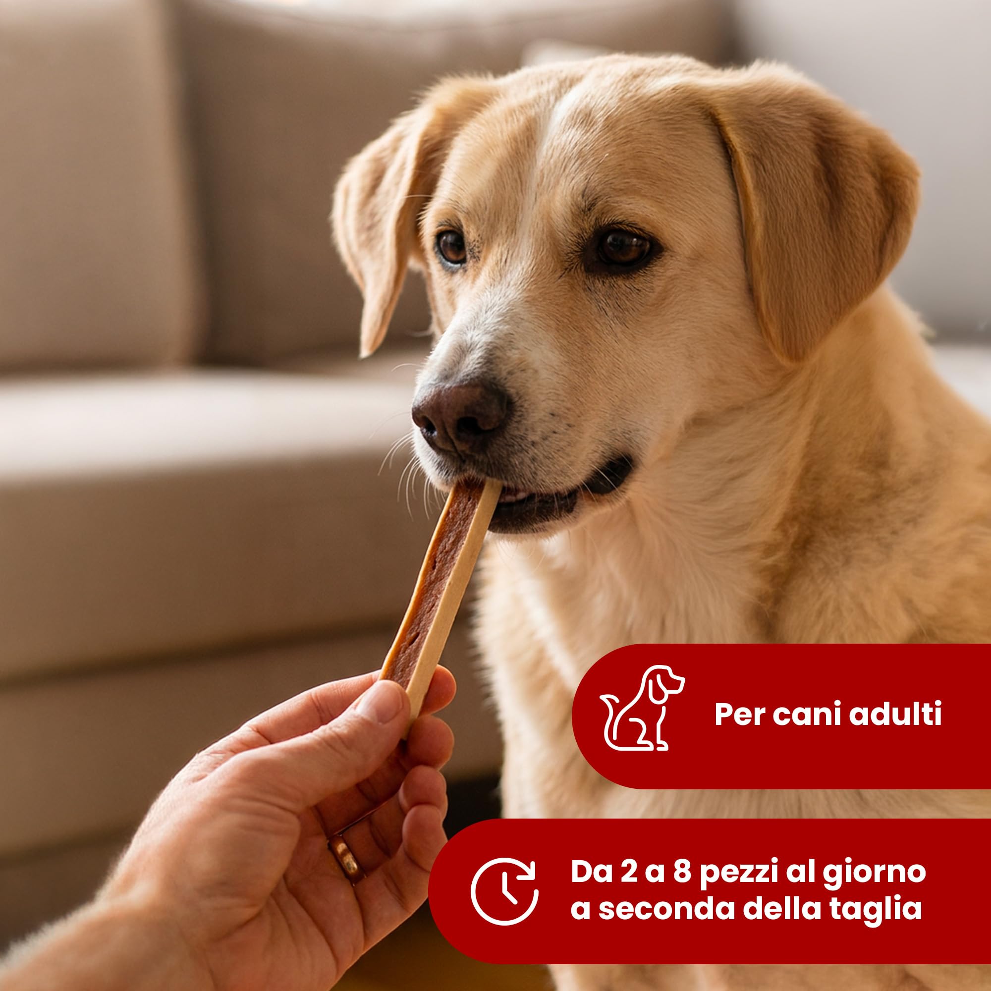 Camon sandwich pollo merluzzo snack cani 80 g