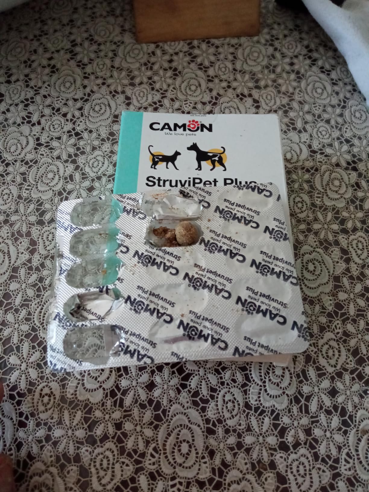 Camon StruviPet Pasta Vie Urinarie Cani e Gatti 100 g