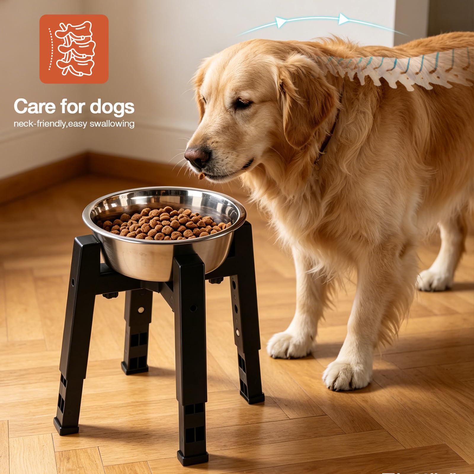 Marchul Supporto Ciotola Cani Singolo Rialzato Regolabile