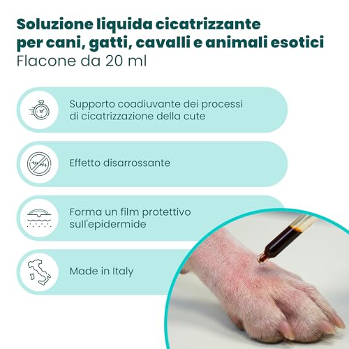 Camon Skin Energy Madre Cicatrizzante Ferite 20 ml Sangue di Drago