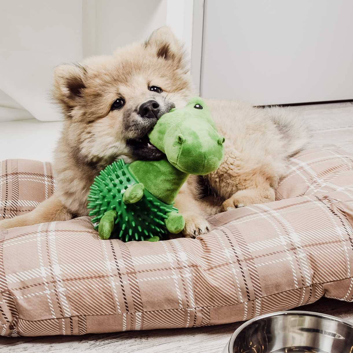 Ne&No Dino Giocattolo per Cani Peluche 24 cm con Squeaker