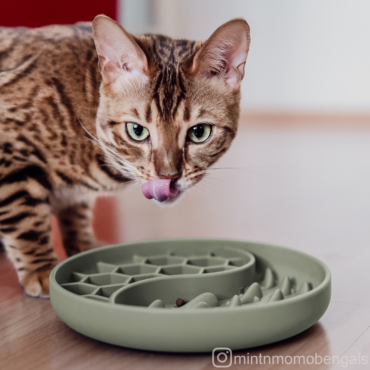 Ne&No anti-ingozzamento ciotola cane gatto silicone 19 cm