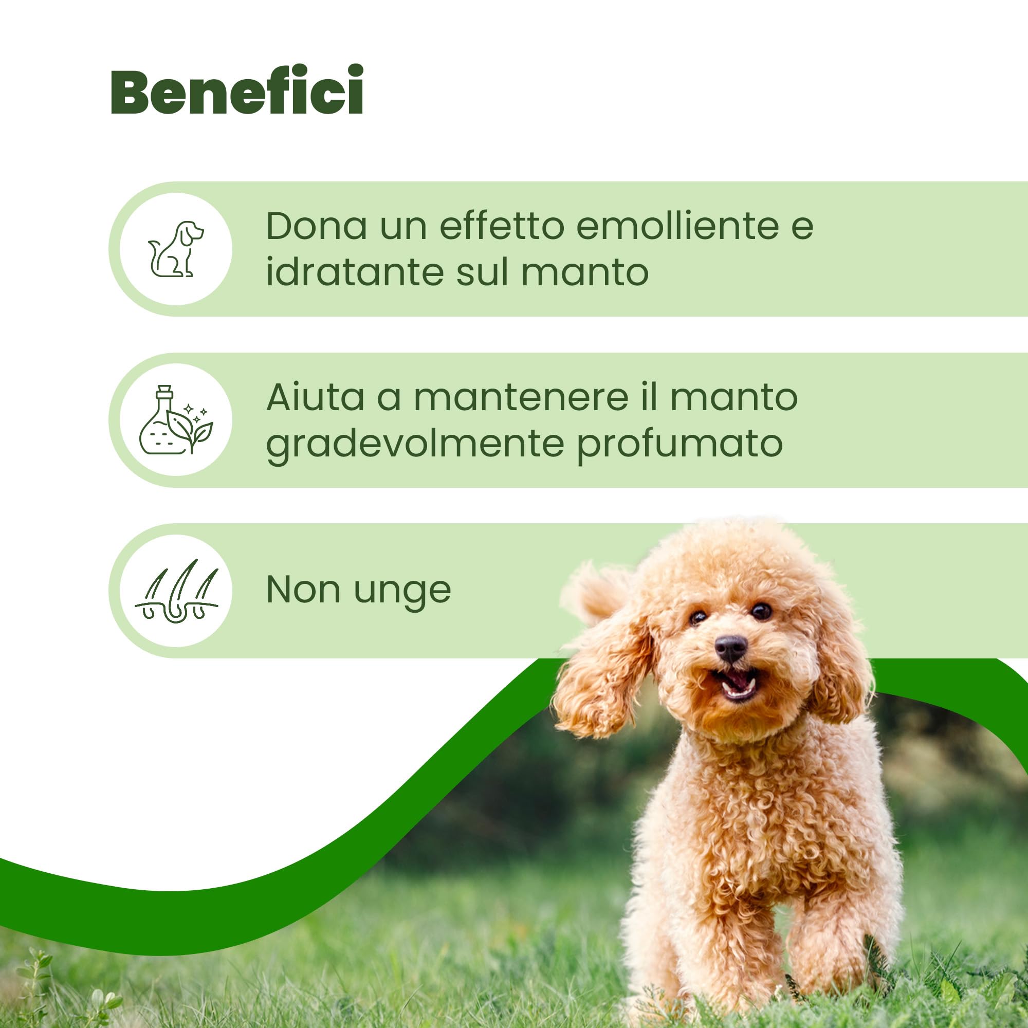 Camon Protection Spot-On cane 0-10kg 5 fiale olio neem
