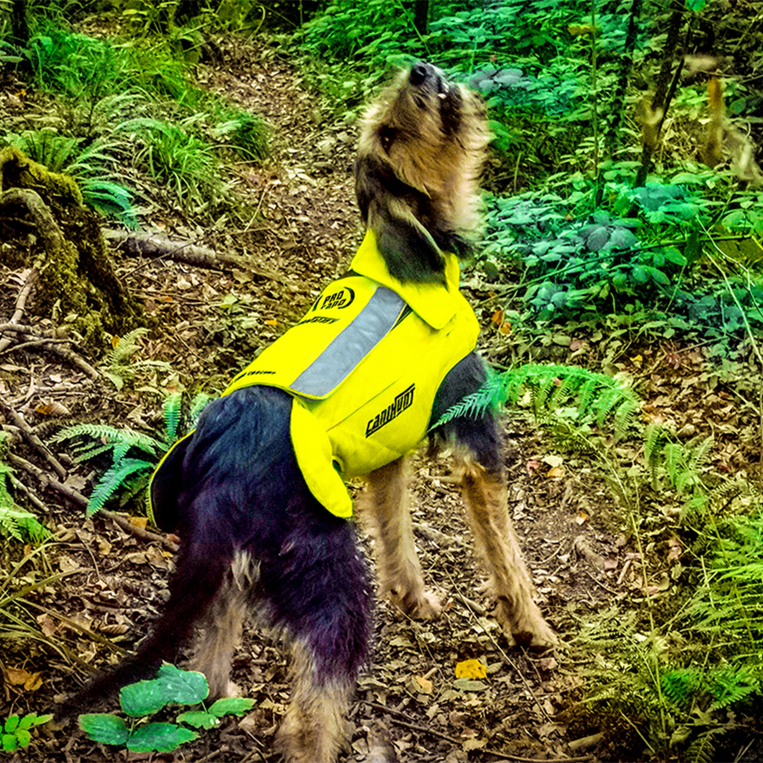 Canihunt Protect Pro Cano Giubbotto Protettivo Cane