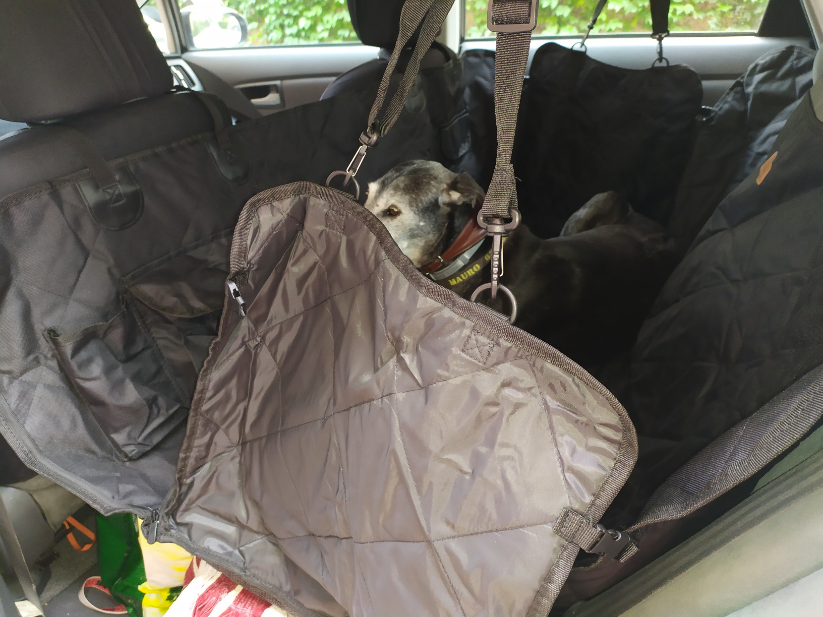 Looxmeer coprisedile auto per cani 147x137 cm impermeabile
