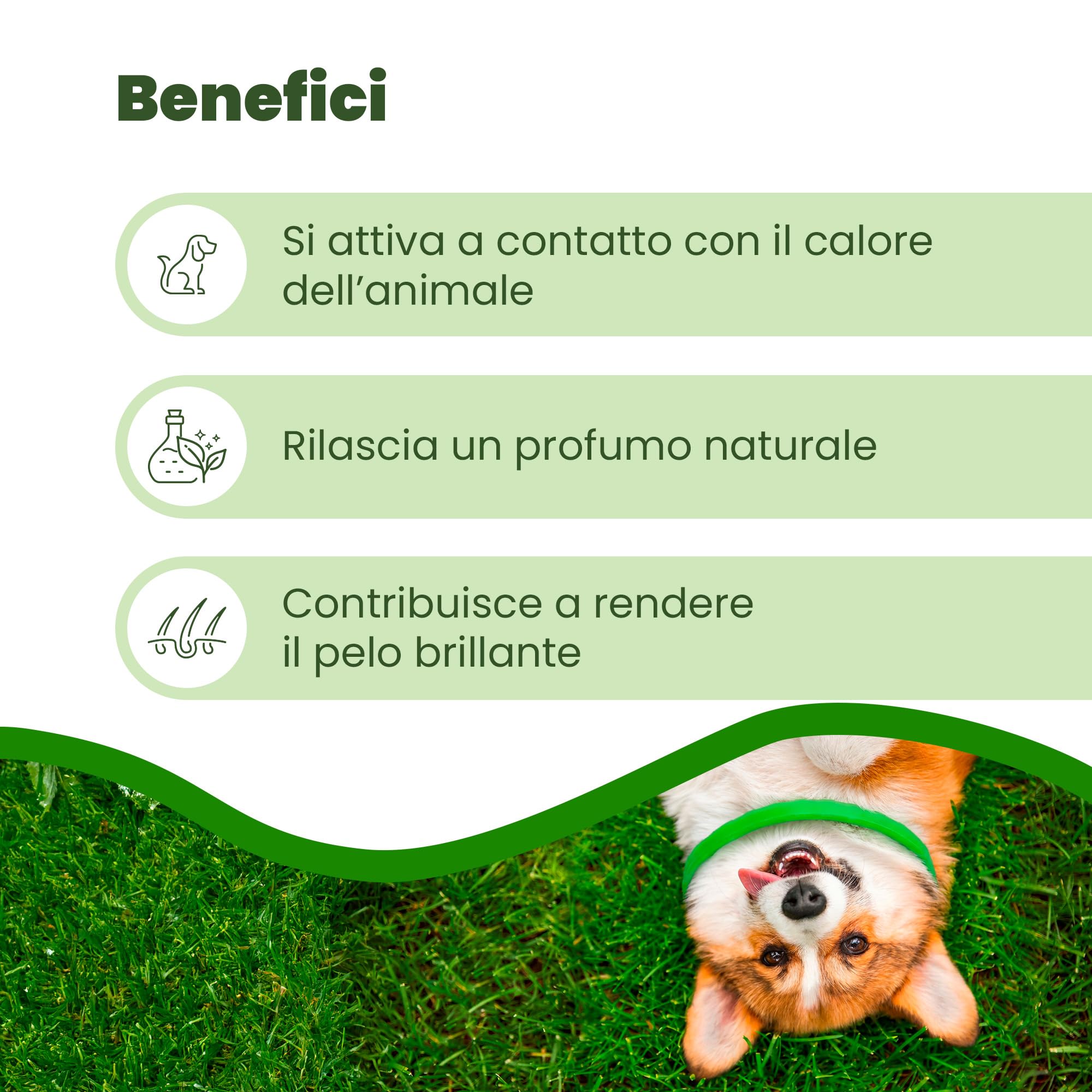Camon Protection Barriera Collare per Cane Neem 60 cm