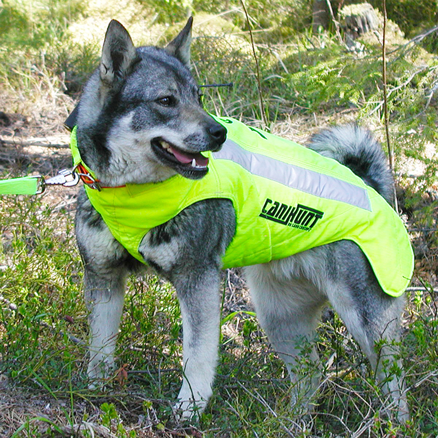 Canihunt Protect Pro Cano Giubbotto Protettivo Cane