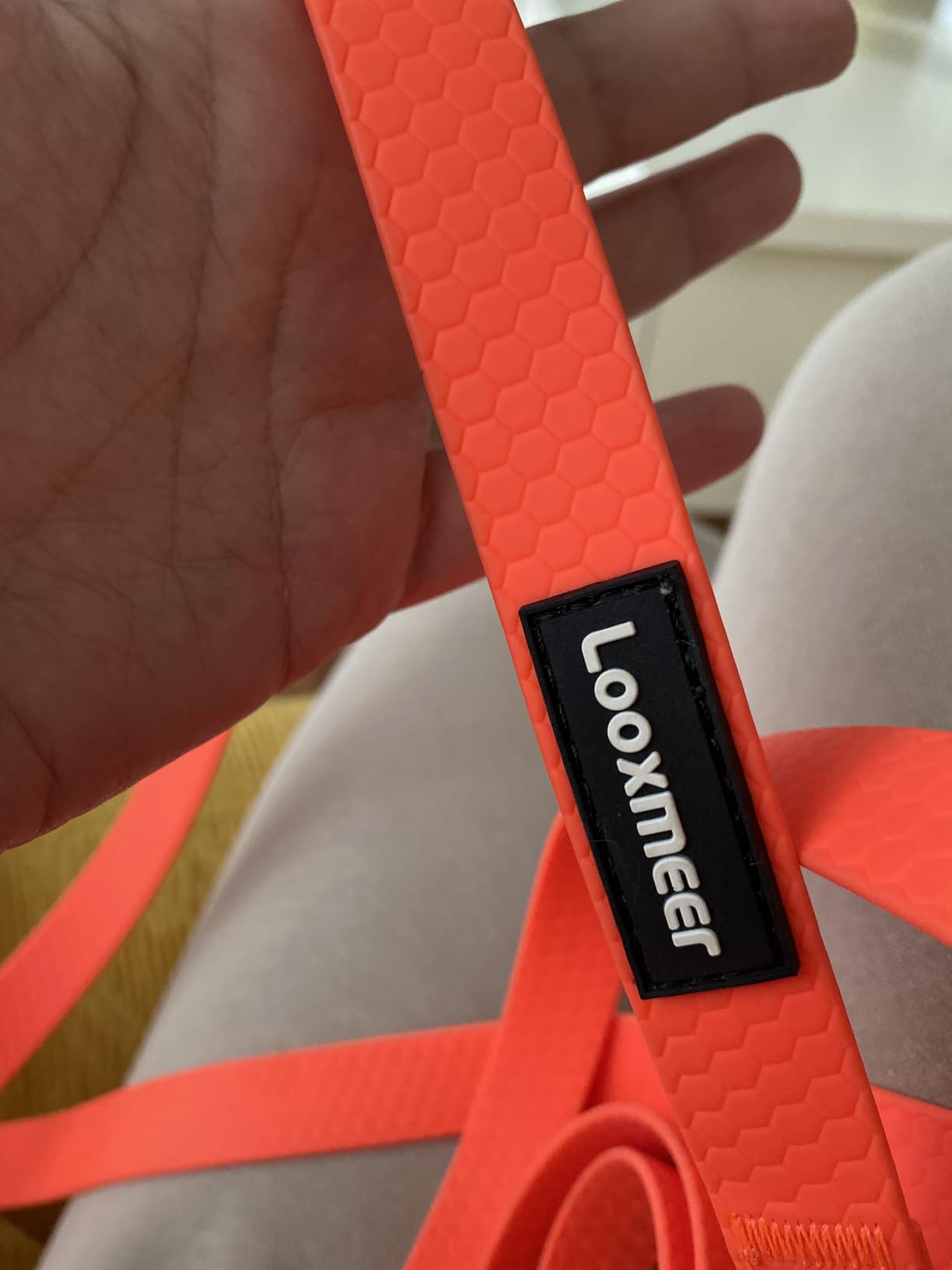 Looxmeer Guinzaglio Addestramento cane nero in nylon
