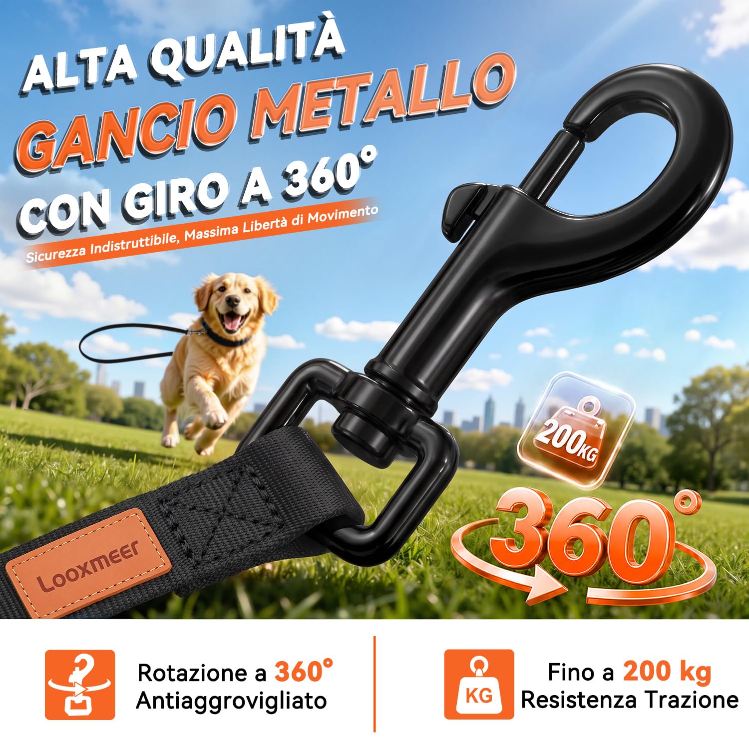 Looxmeer Guinzaglio Addestramento cane nero in nylon