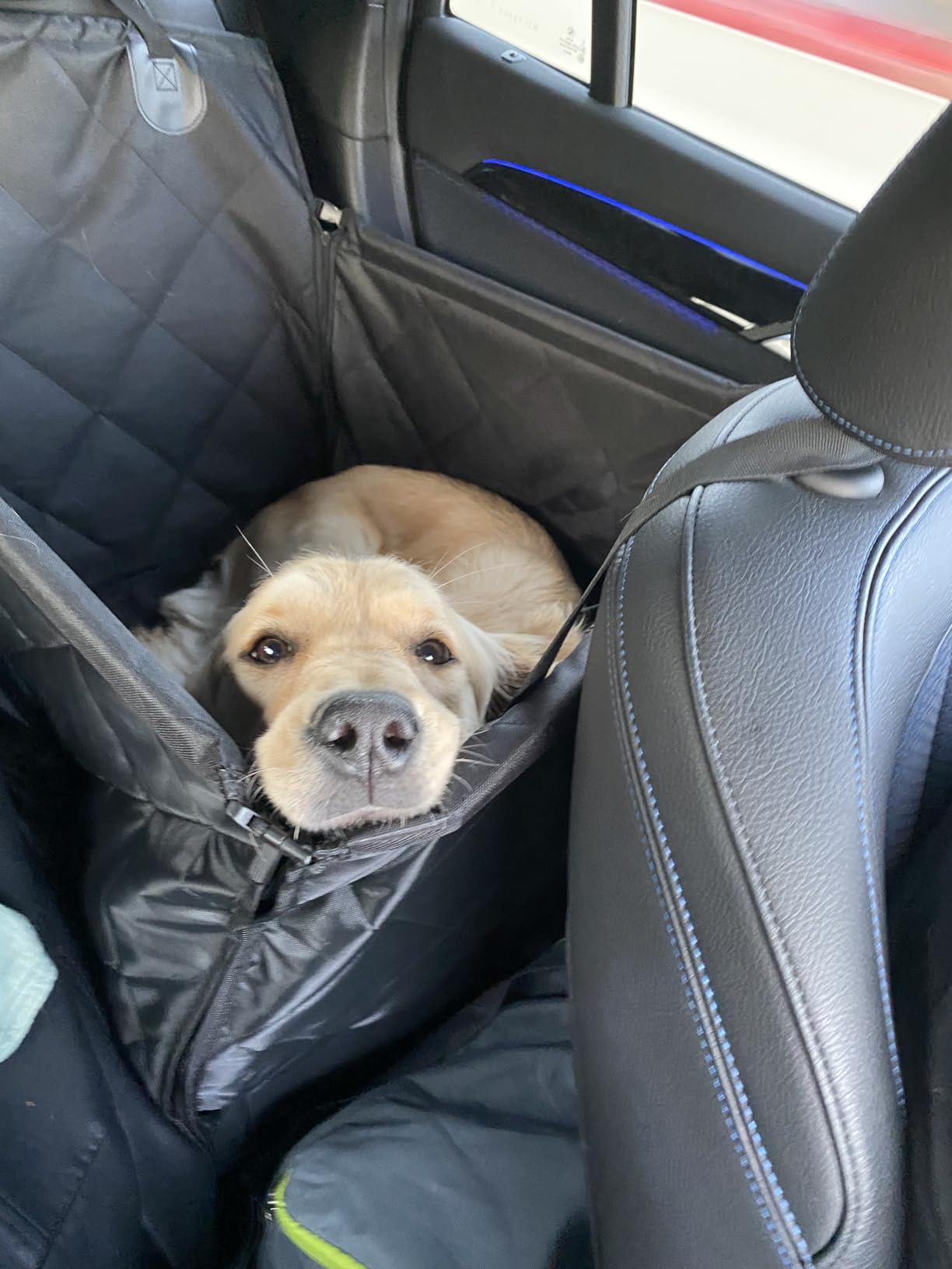 Looxmeer Seggiolino Auto per Cani Taglia Piccola Media Impermeabile