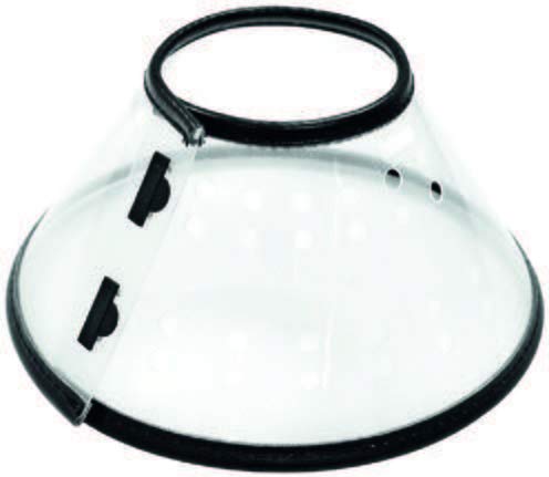 Arppe Isabelino Deluxe 2998010500 Collare XS ecopelle