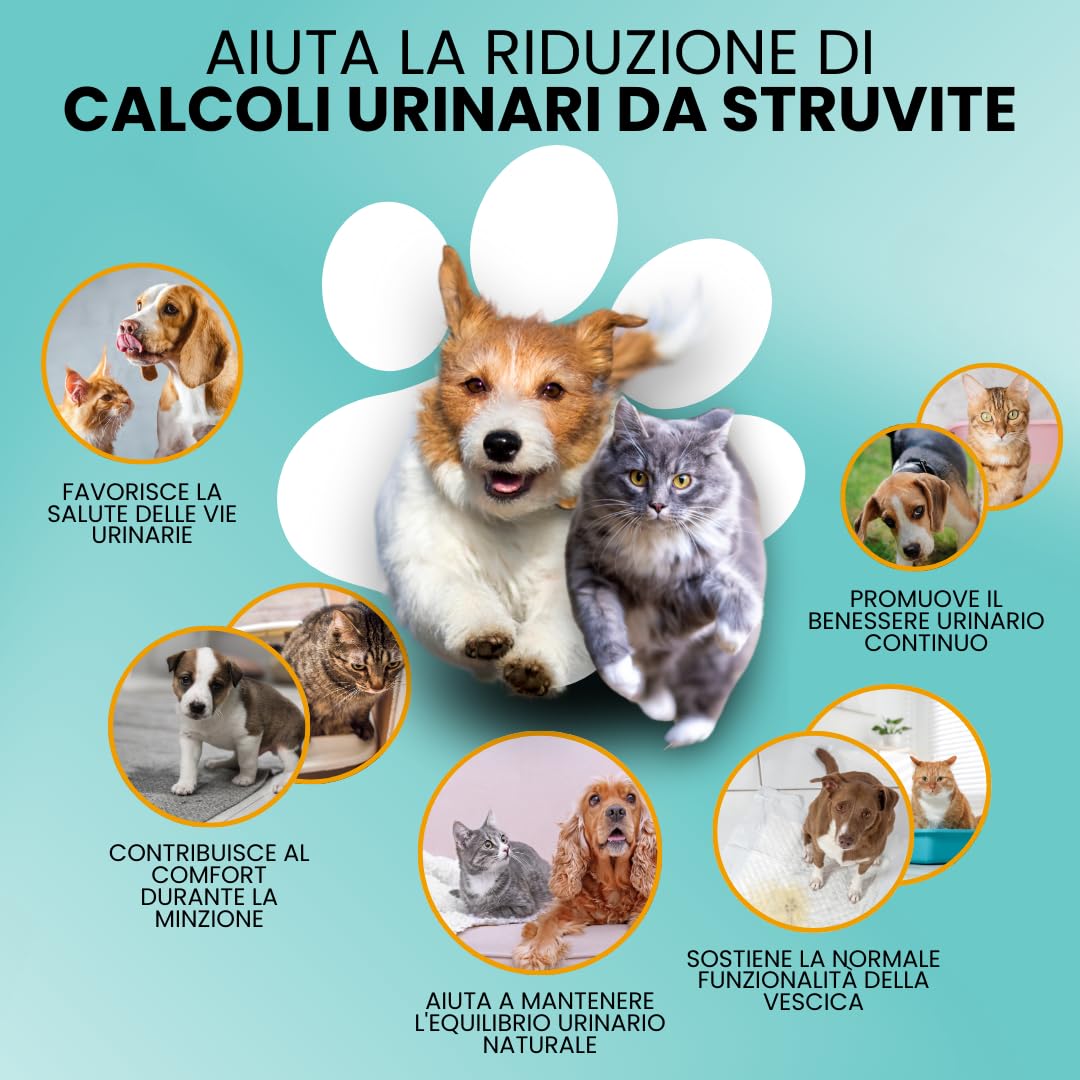 Camon StruviPet Pasta Vie Urinarie Cani e Gatti 100 g