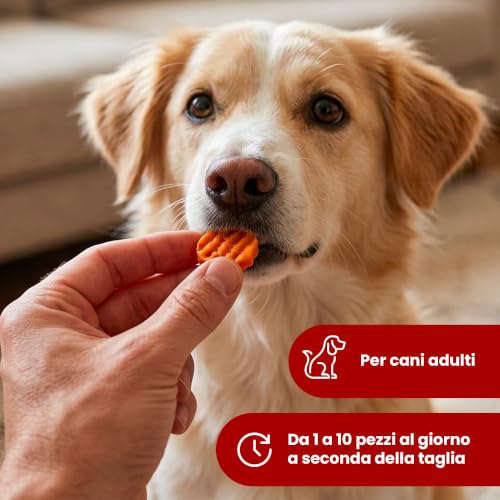 Camon Rolls Snack Monetine Pollo Cani Adulti 80 g Grigliate