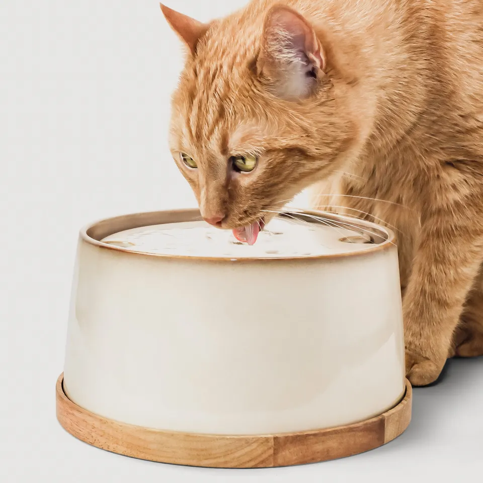 Ne&No fontana ceramica gatti 2 L base bambù