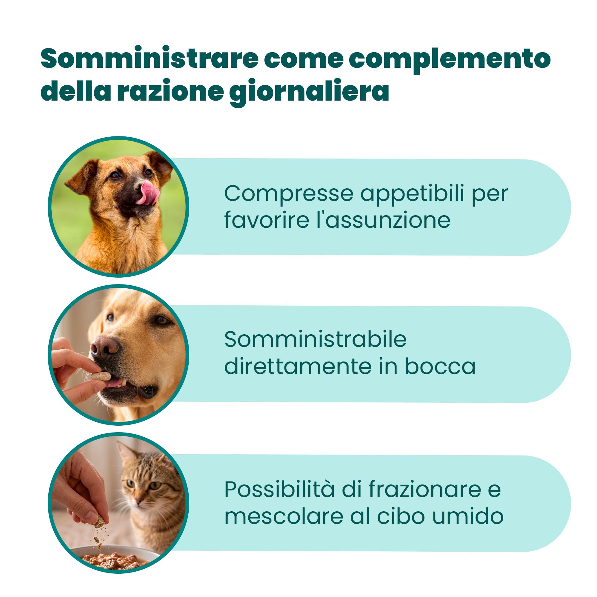 Camon Help-TH1 integratore cani gatti 60 compresse difese