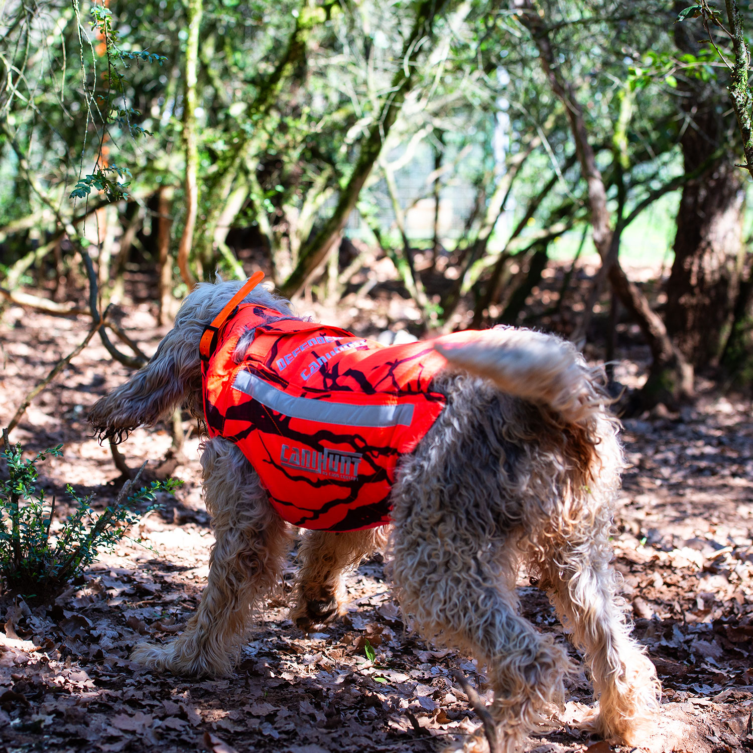 Canihunt Defender 2.0 giubbotto cane mimetico arancione