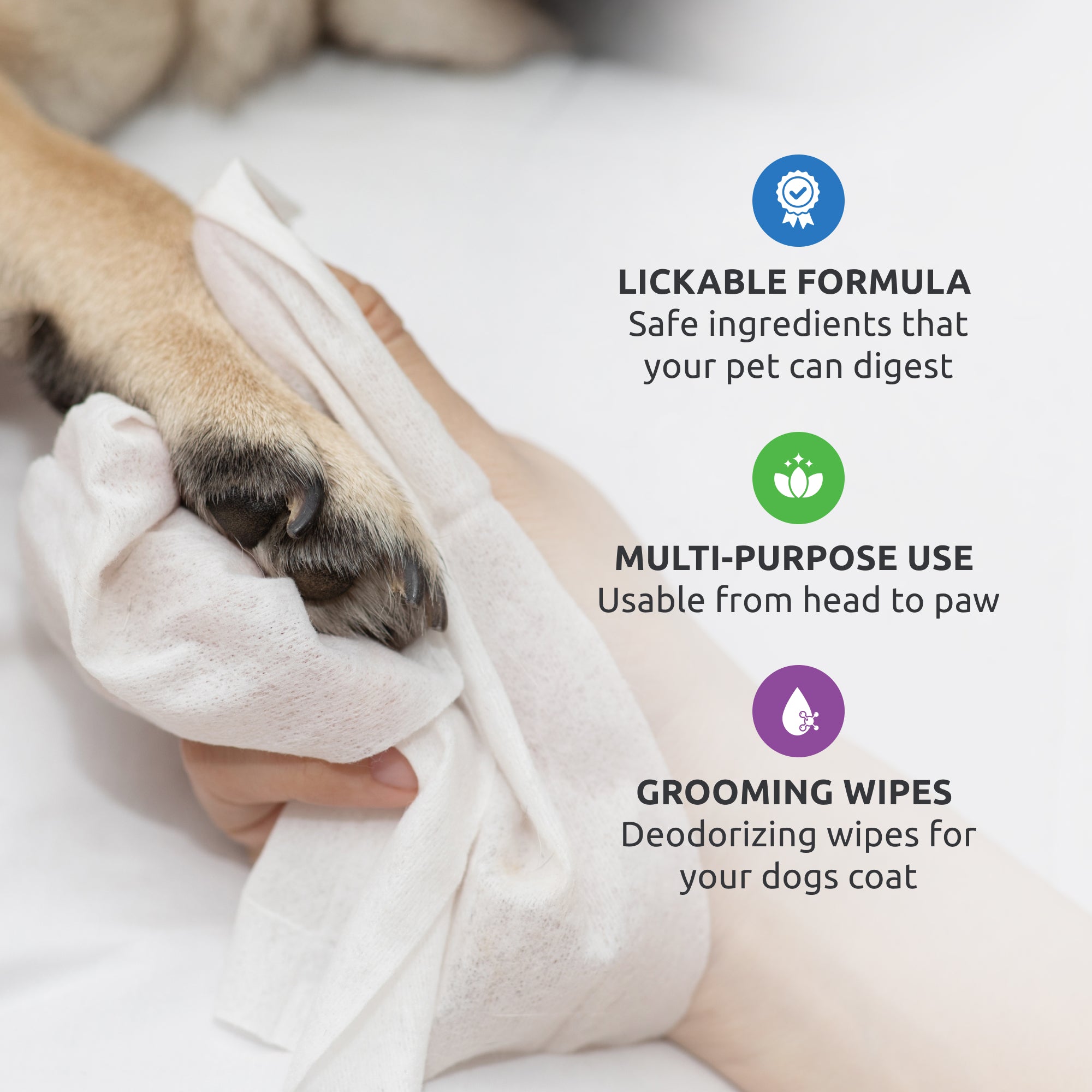 Pawz Soft Paws Kit cura zampe balsamo MaxWax 200 g