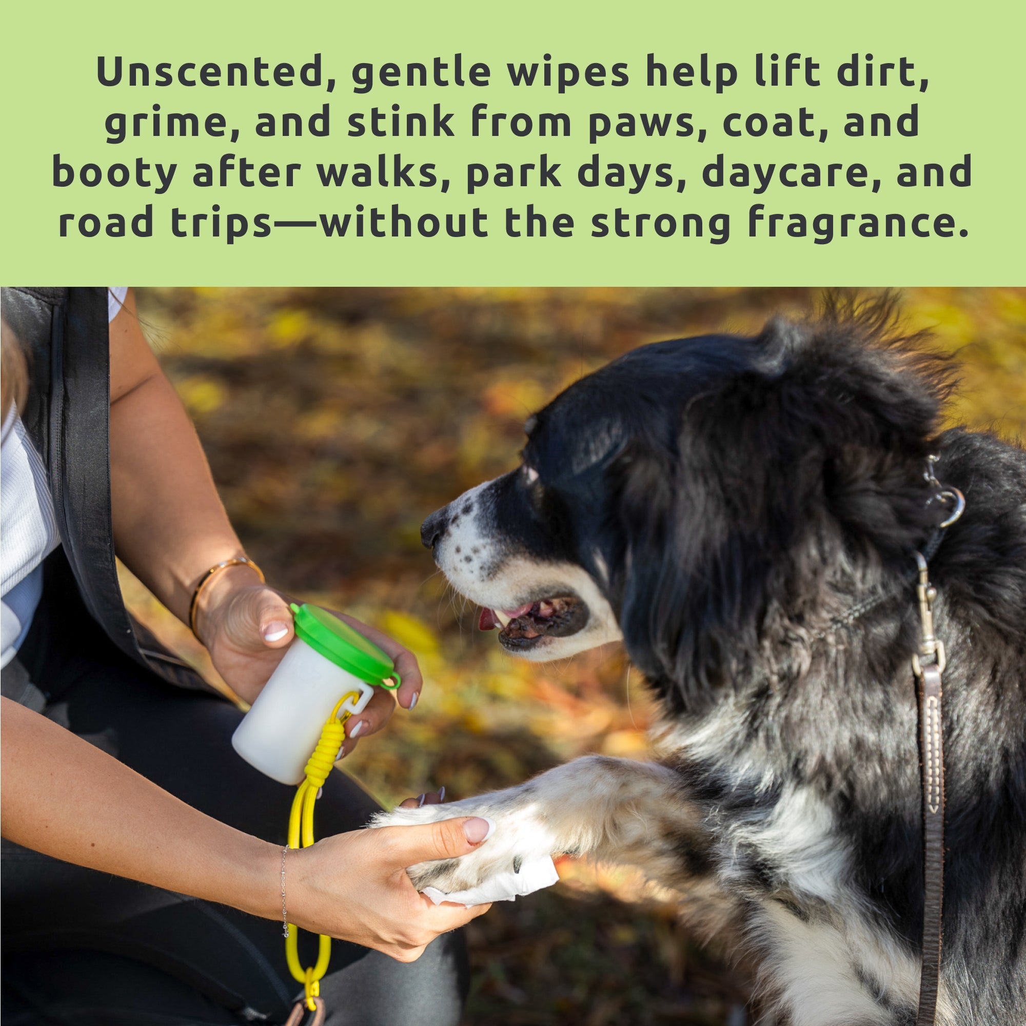 PawZ SaniPaw Max Wax kit cura zampe viaggio salviette+balsamo