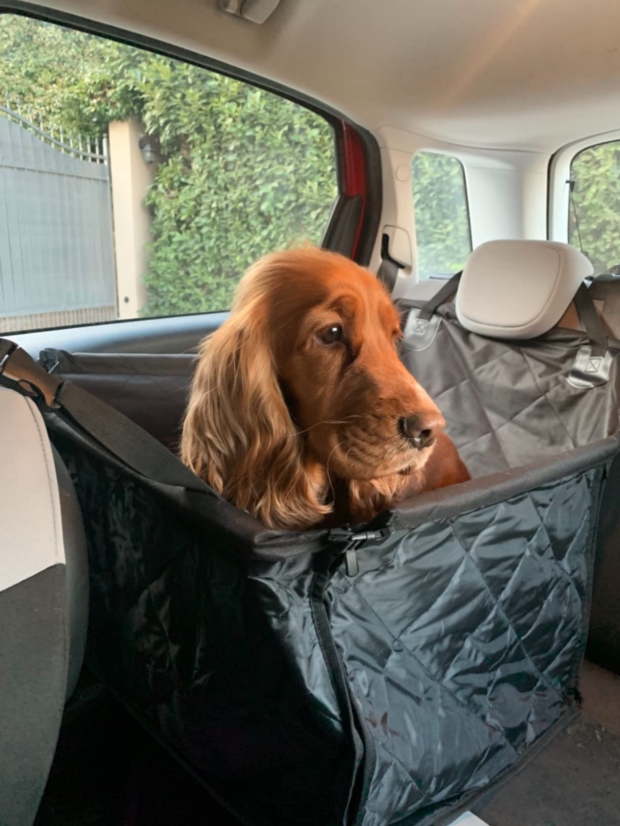 Looxmeer Seggiolino Auto per Cani Taglia Piccola Media Impermeabile