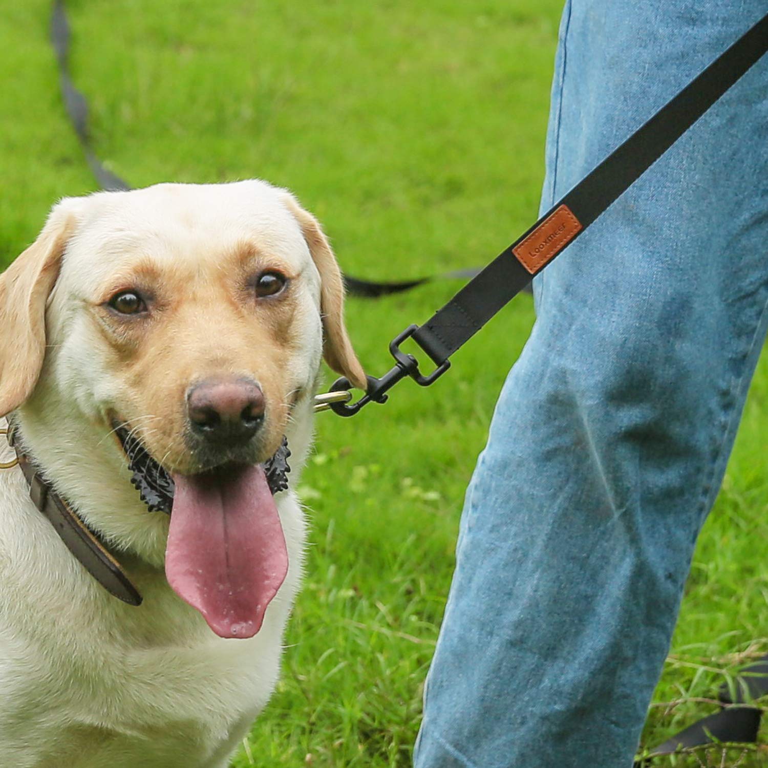 Looxmeer Guinzaglio Addestramento cane nero in nylon