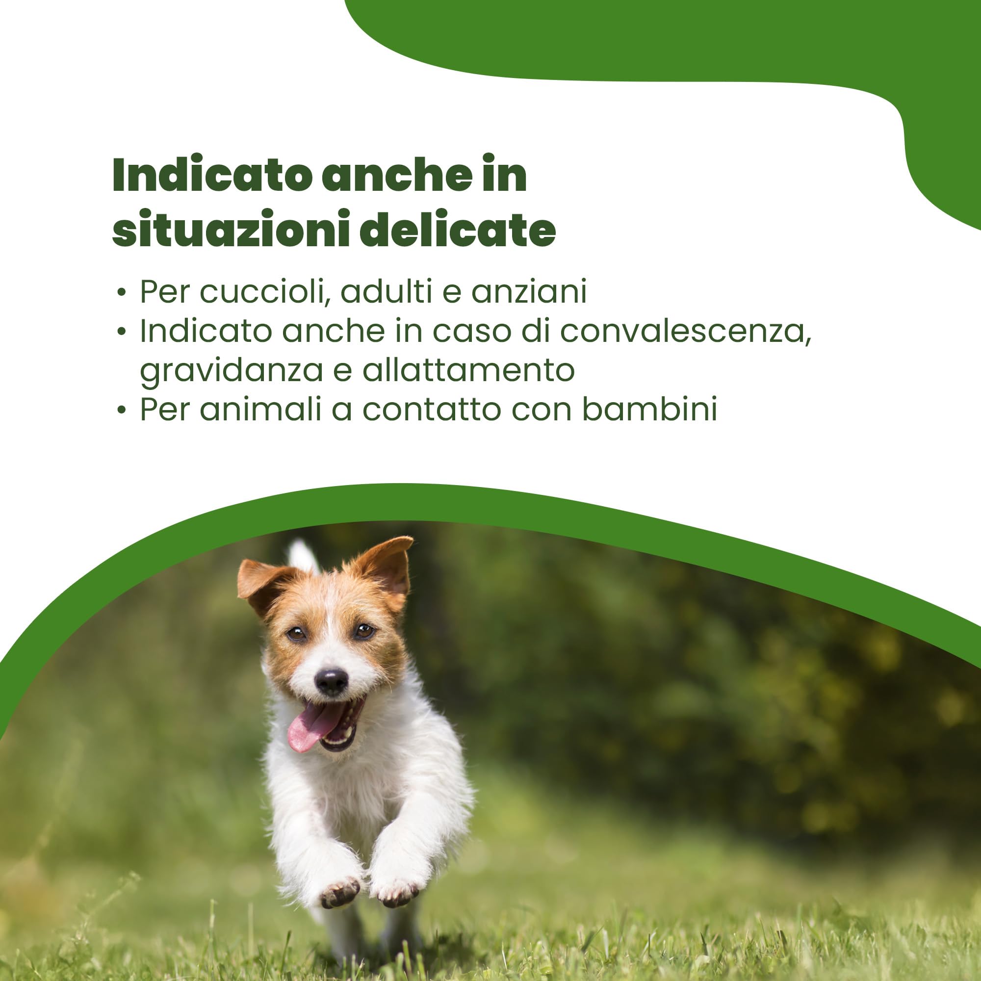 Camon Protection Spot-On cane 0-10kg 5 fiale olio neem
