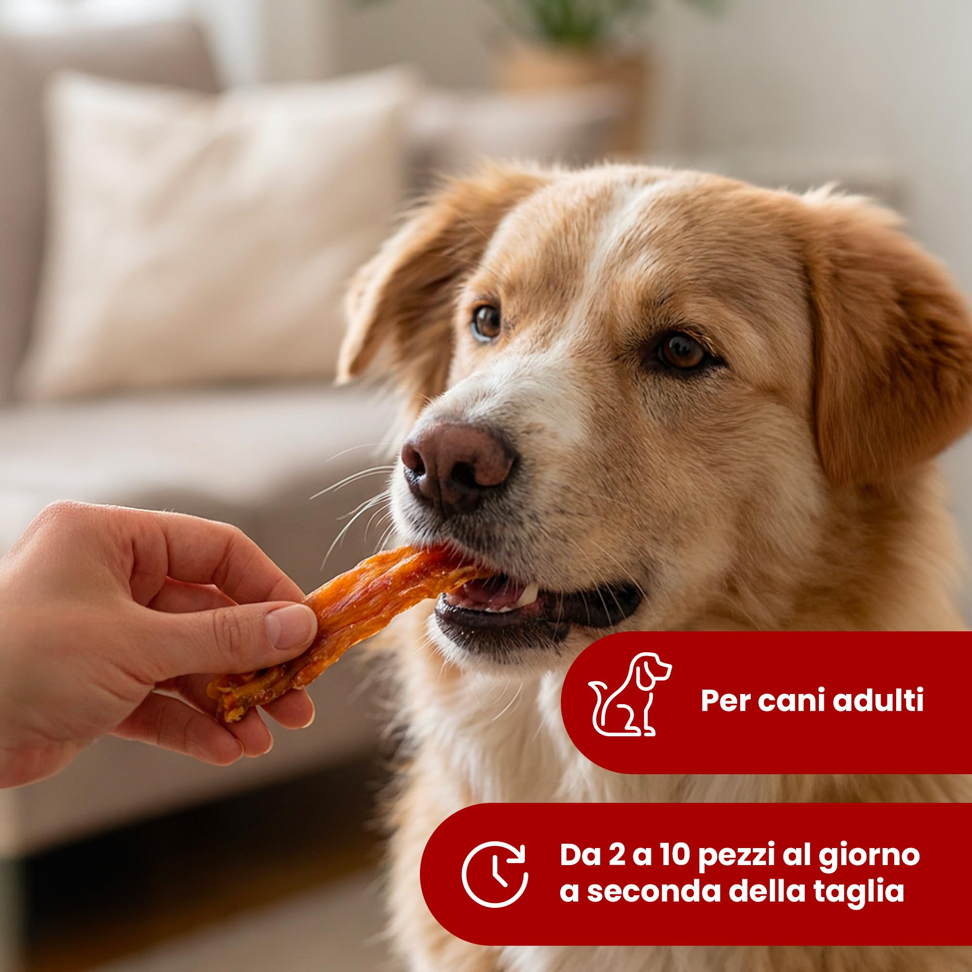 Camon Treats Strisce Pollo Snack Cane 80 g Senza Glutine
