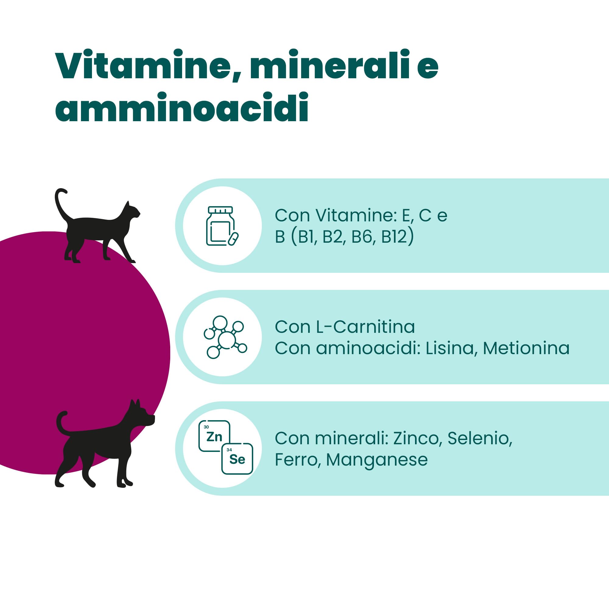 Camon HelpAge Vet integratore cani 60 compresse neutro