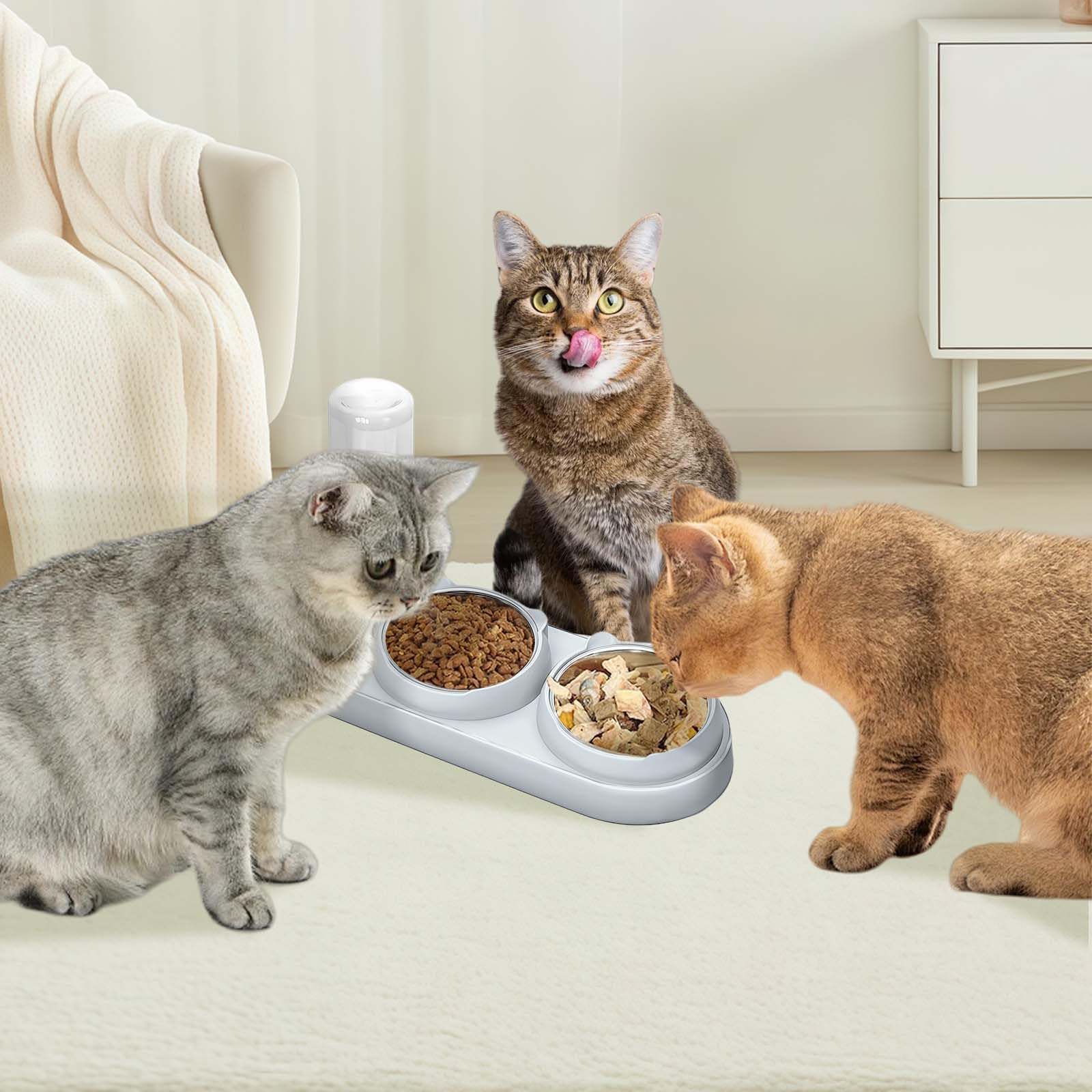 Marchul Set Ciotole Gatto 3in1 Acciaio Grigio Rialzato