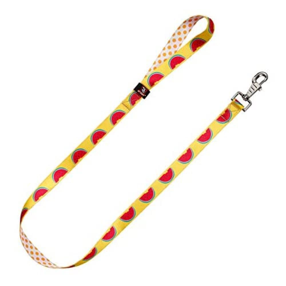 Arppe 195662012540 guinzaglio nylon verde 1,2 m