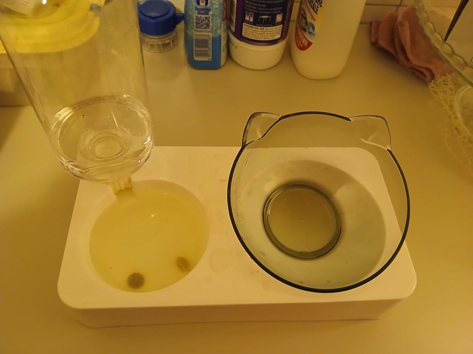 Marchul Ciotole doppie + Borraccia gatti acciaio 15°