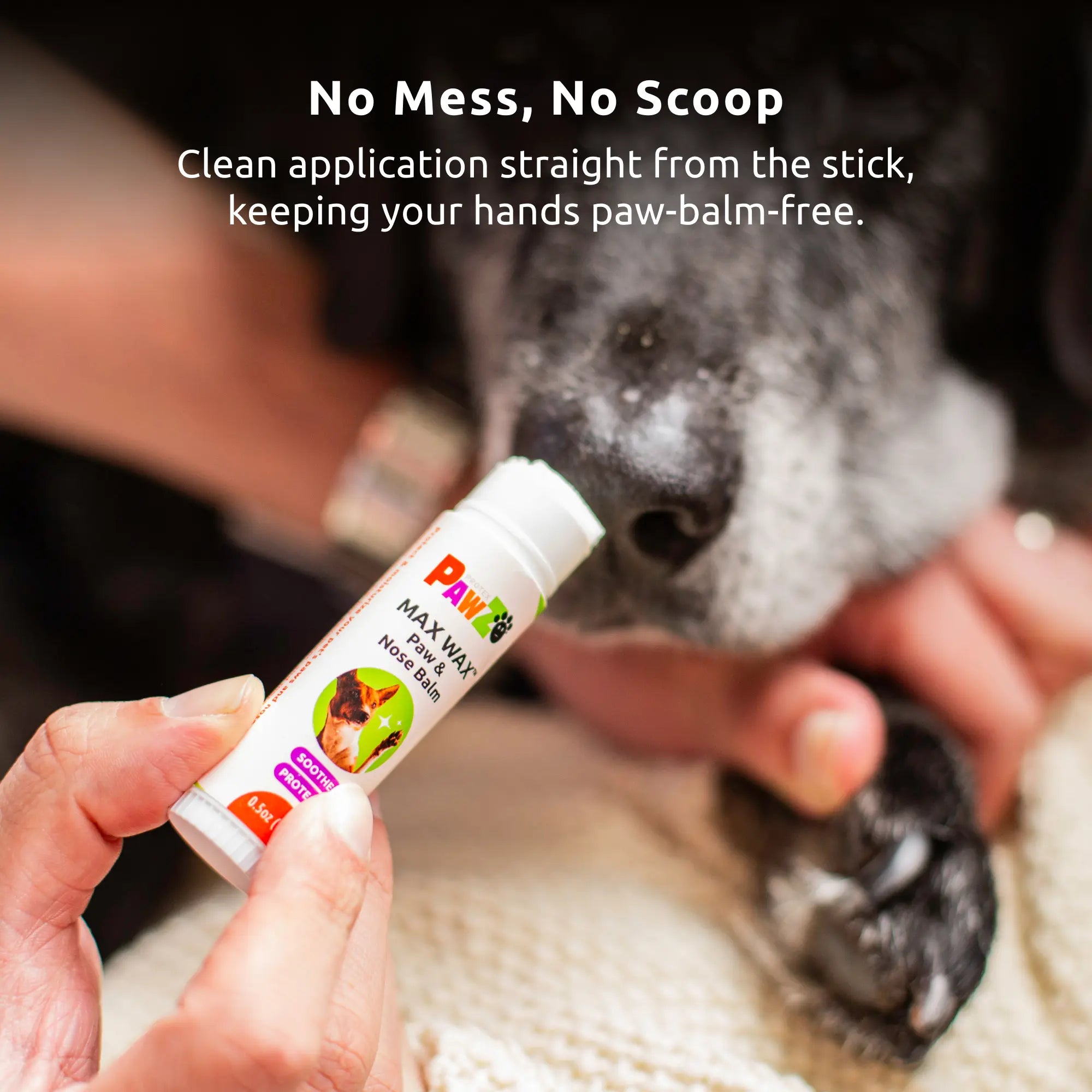 Pawz MaxWax Balsamo zampe e naso cane cera d'api