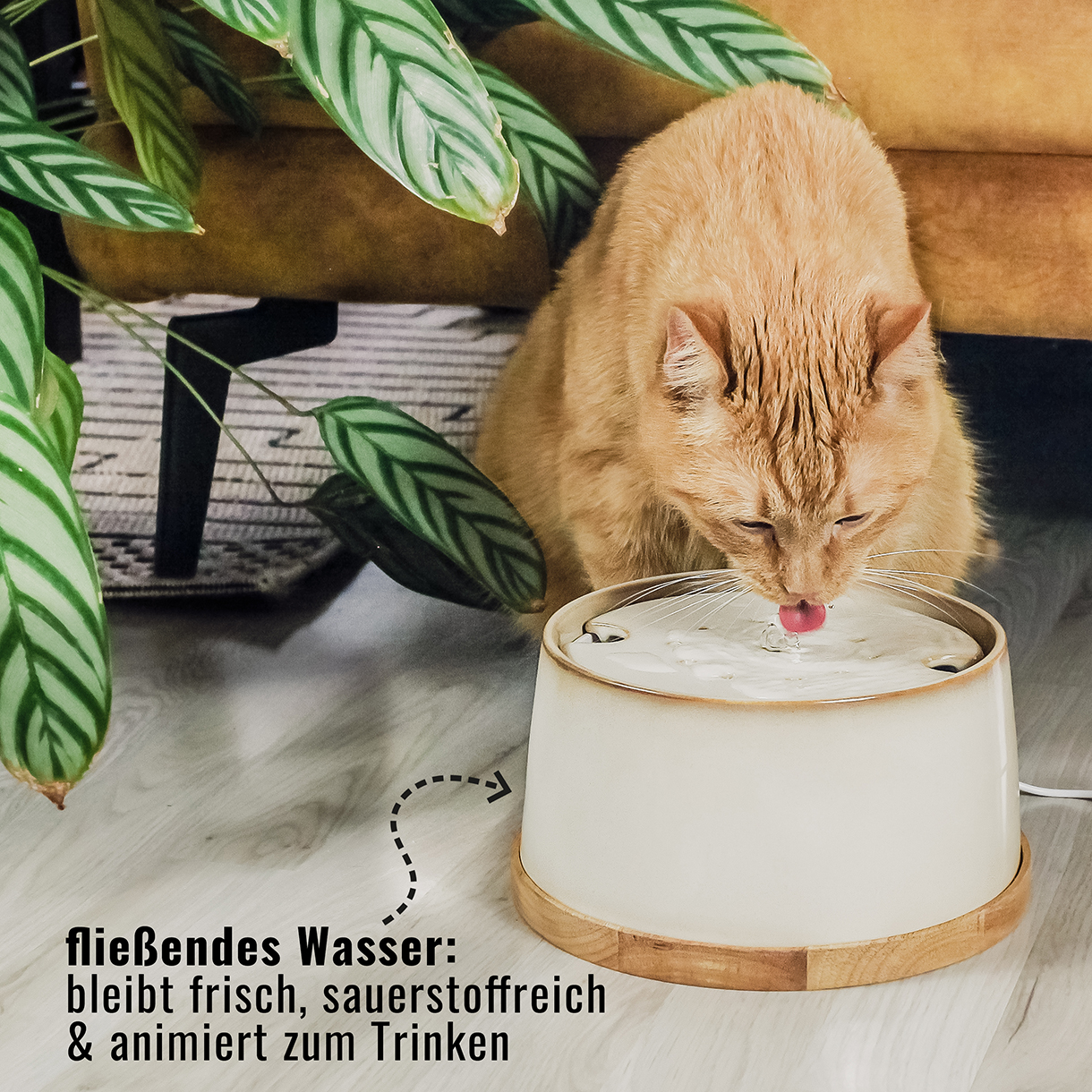 Ne&No fontana ceramica gatti 2 L base bambù