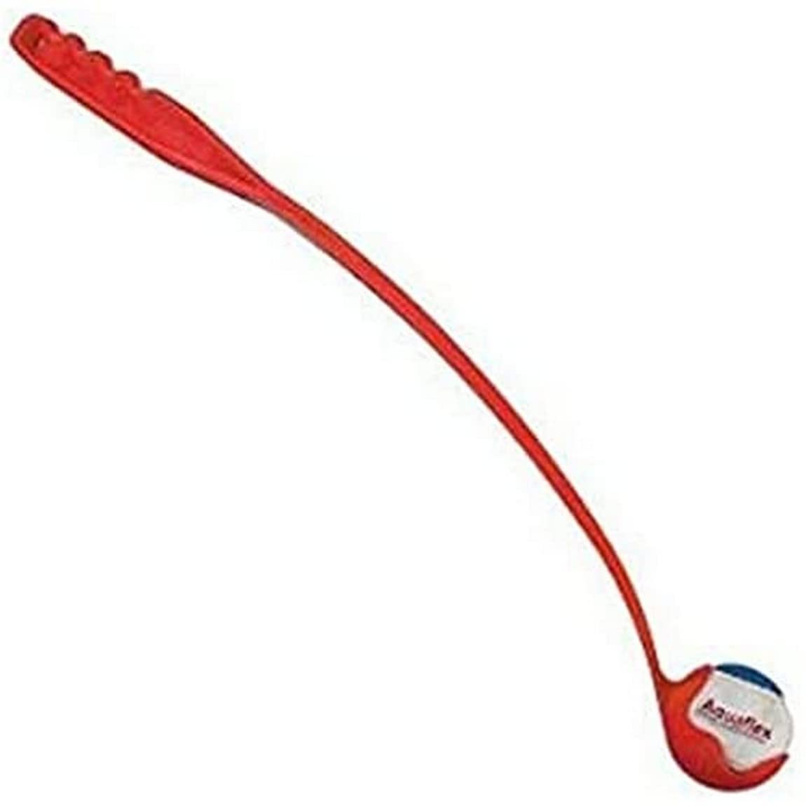 Arppe 3011010500 Palline Tennis Gioco Cane