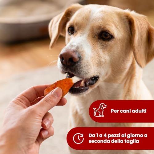 Camon Treats Snacks coscette pollo 100 g snack cane