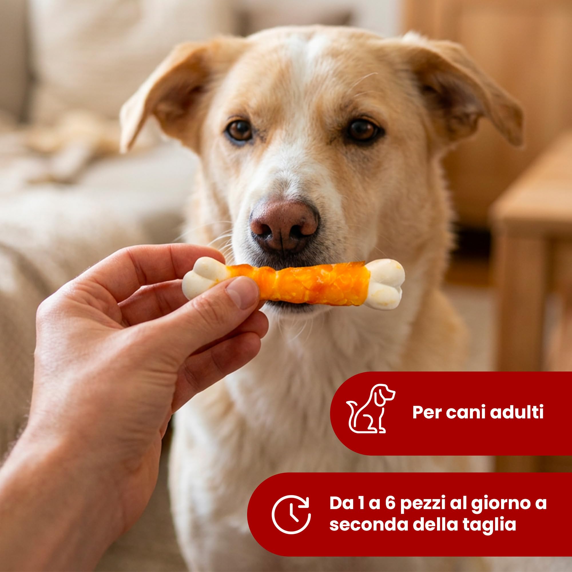 Camon Treats Snack Ossicini Pollo Cani Adulti Maxi 300 g
