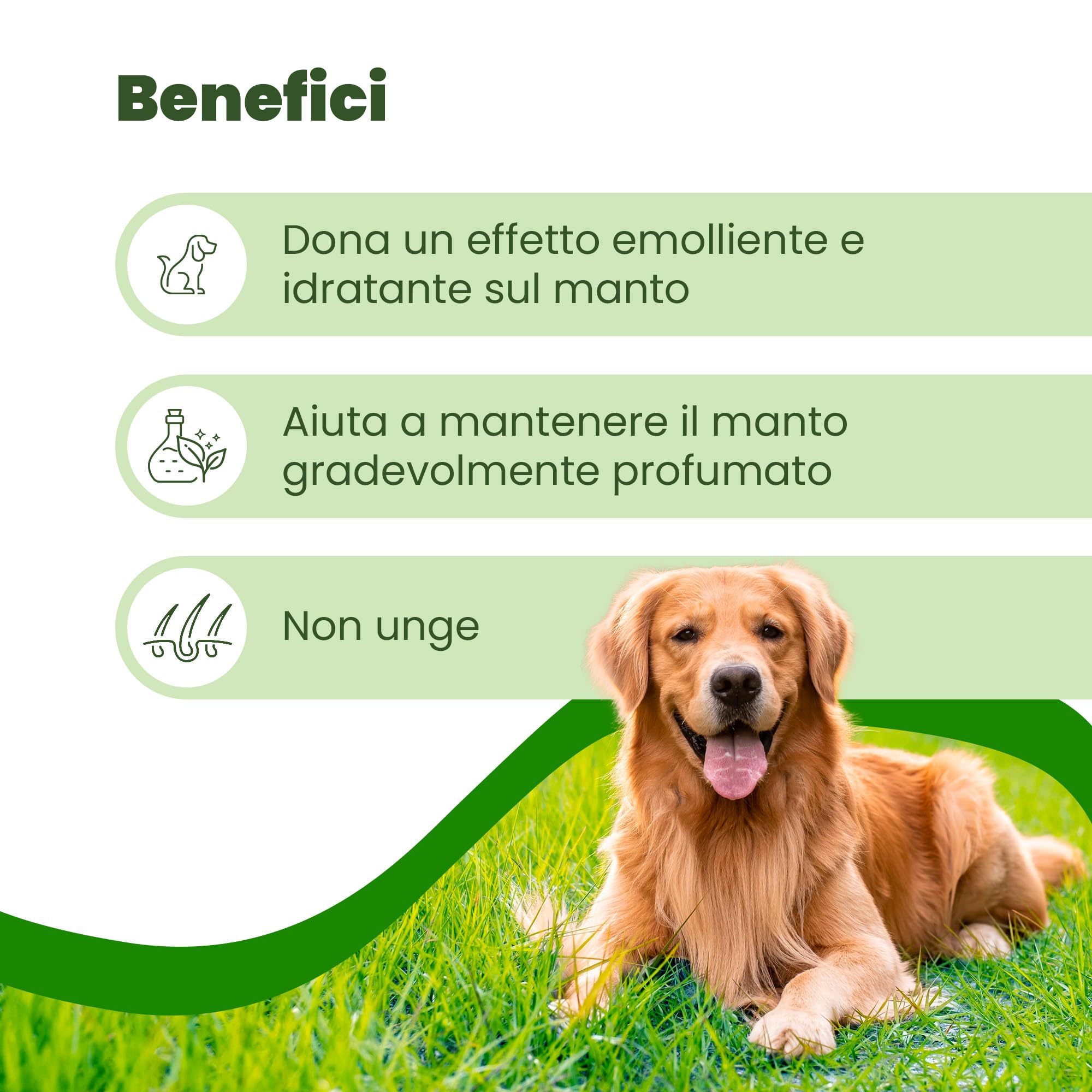 Camon Protection Spot-On fiale cani >11kg 5x5ml olio di neem
