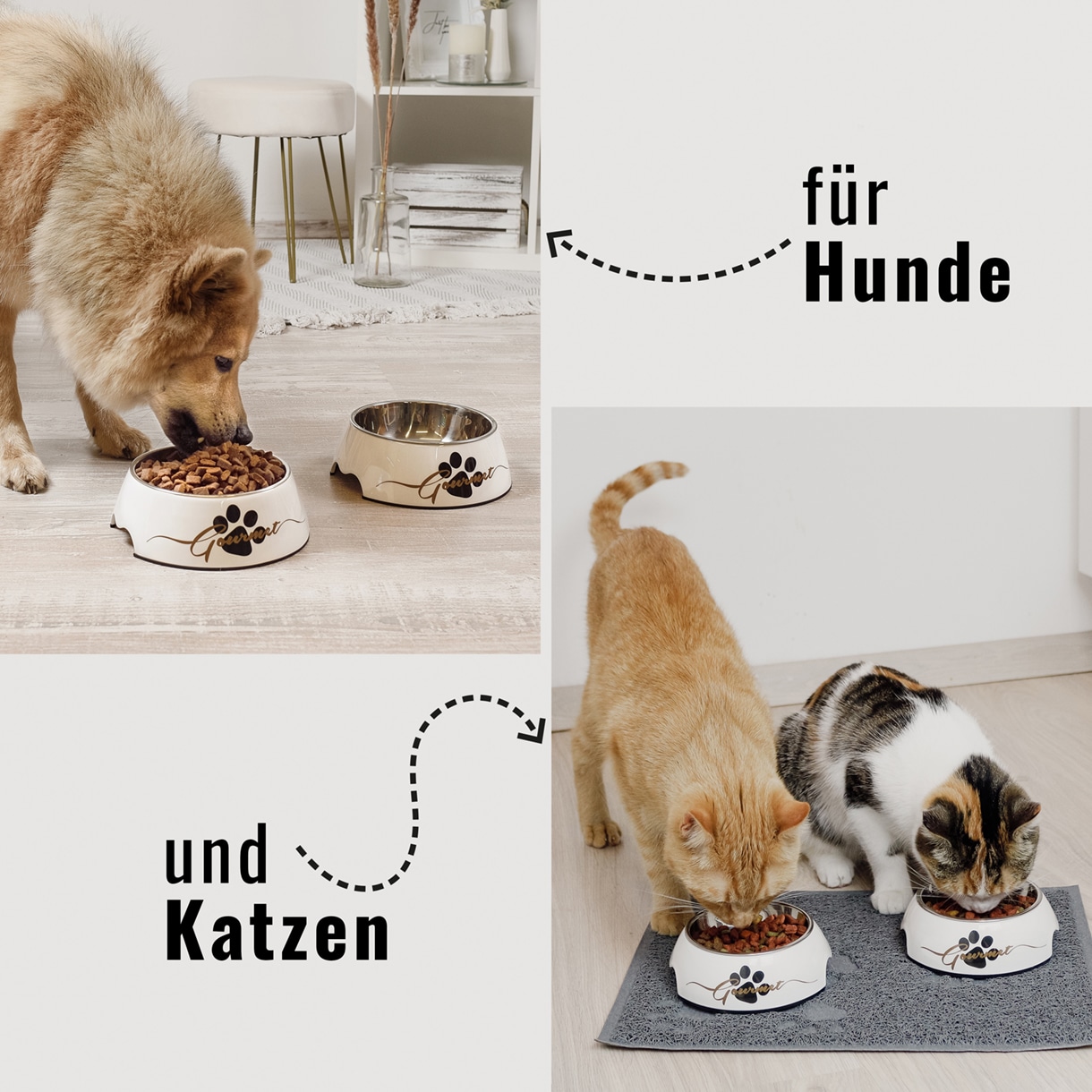 Ne&No Gourmet ciotole cane gatto set 2 pezzi antiscivolo