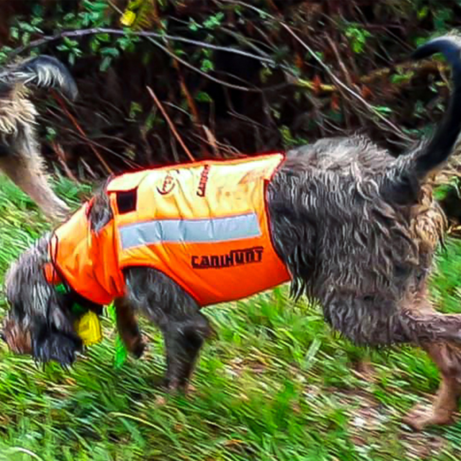 Canihunt Protect Eco giubbotto cane Cordura anti-perforazione