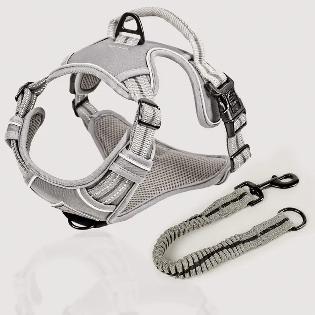 Ne&No Outdoor pettorina cani riflettente sicura in auto