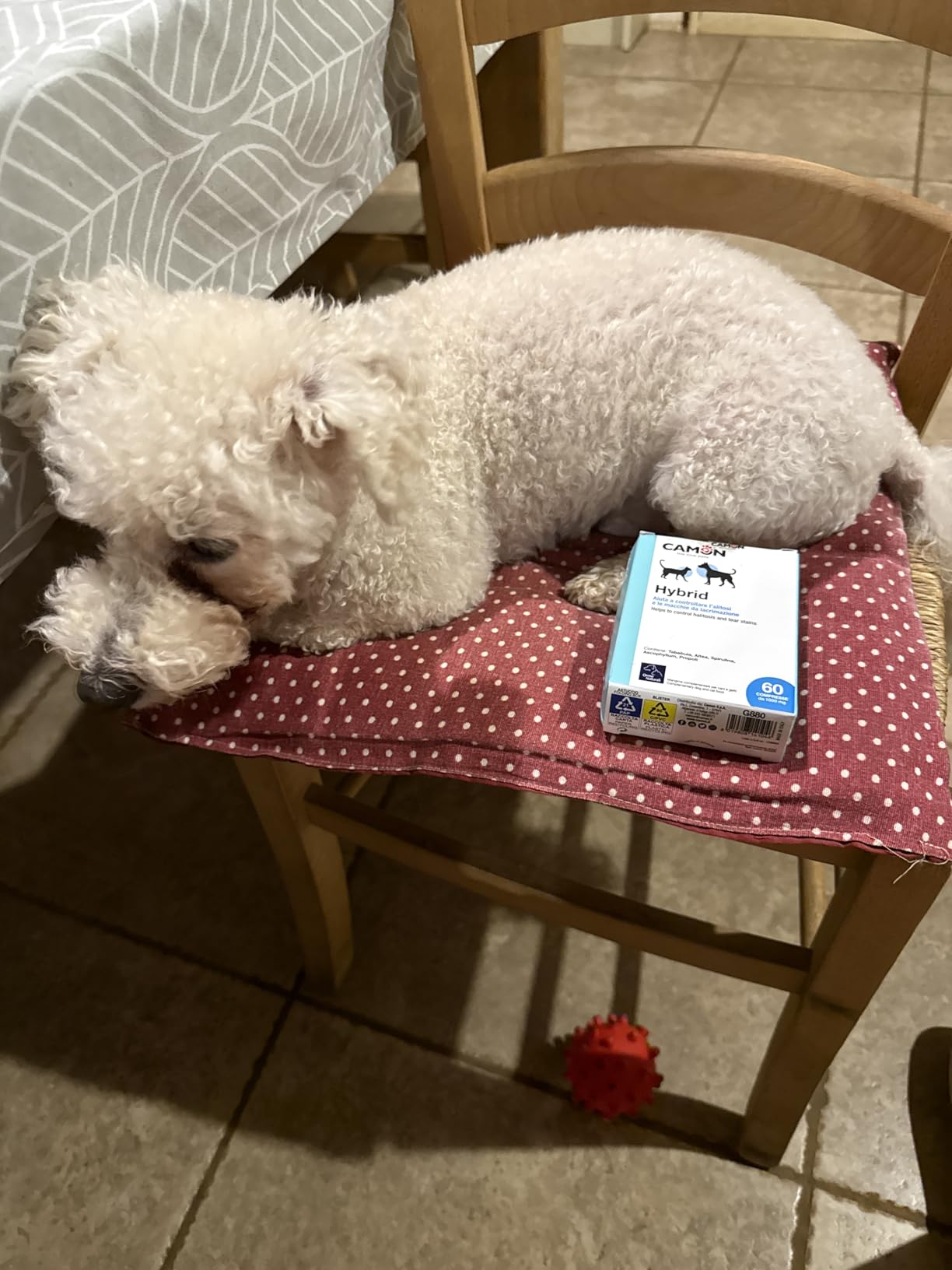 Camon Hybrid compresse per cani e gatti 60 pz alitosi