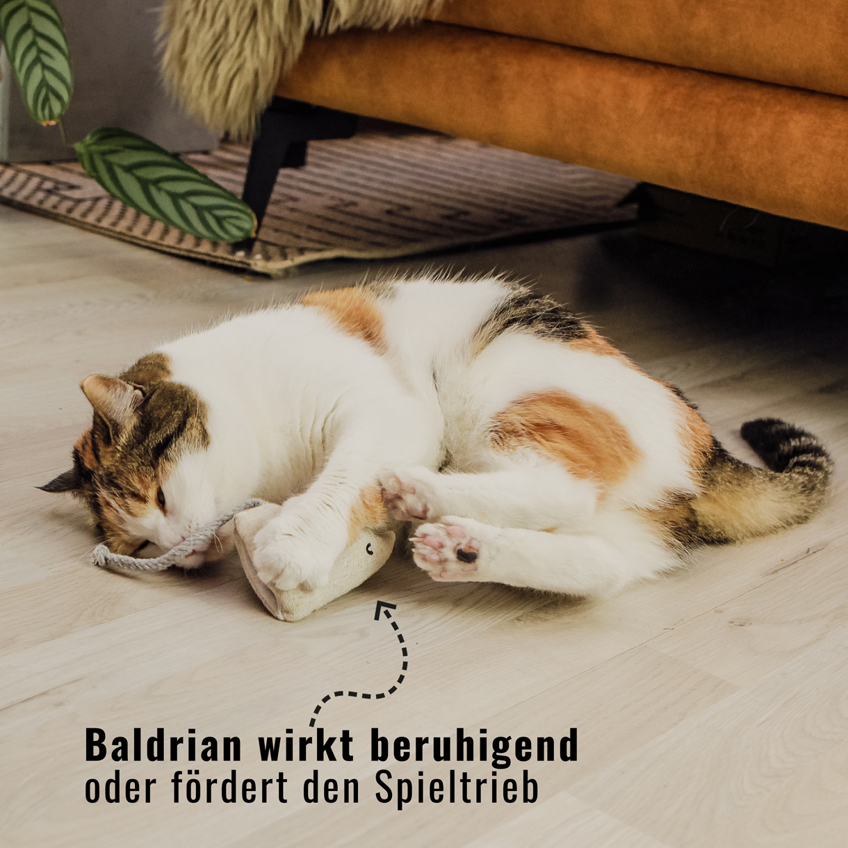 Ne&No valeriana ricarica gatto 18 pezzi naturale