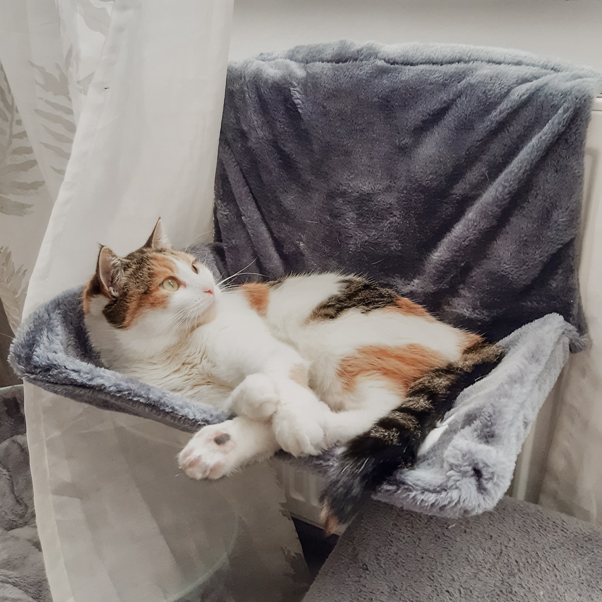 Ne&No lettino termosifone gatto amaca peluche 13 kg