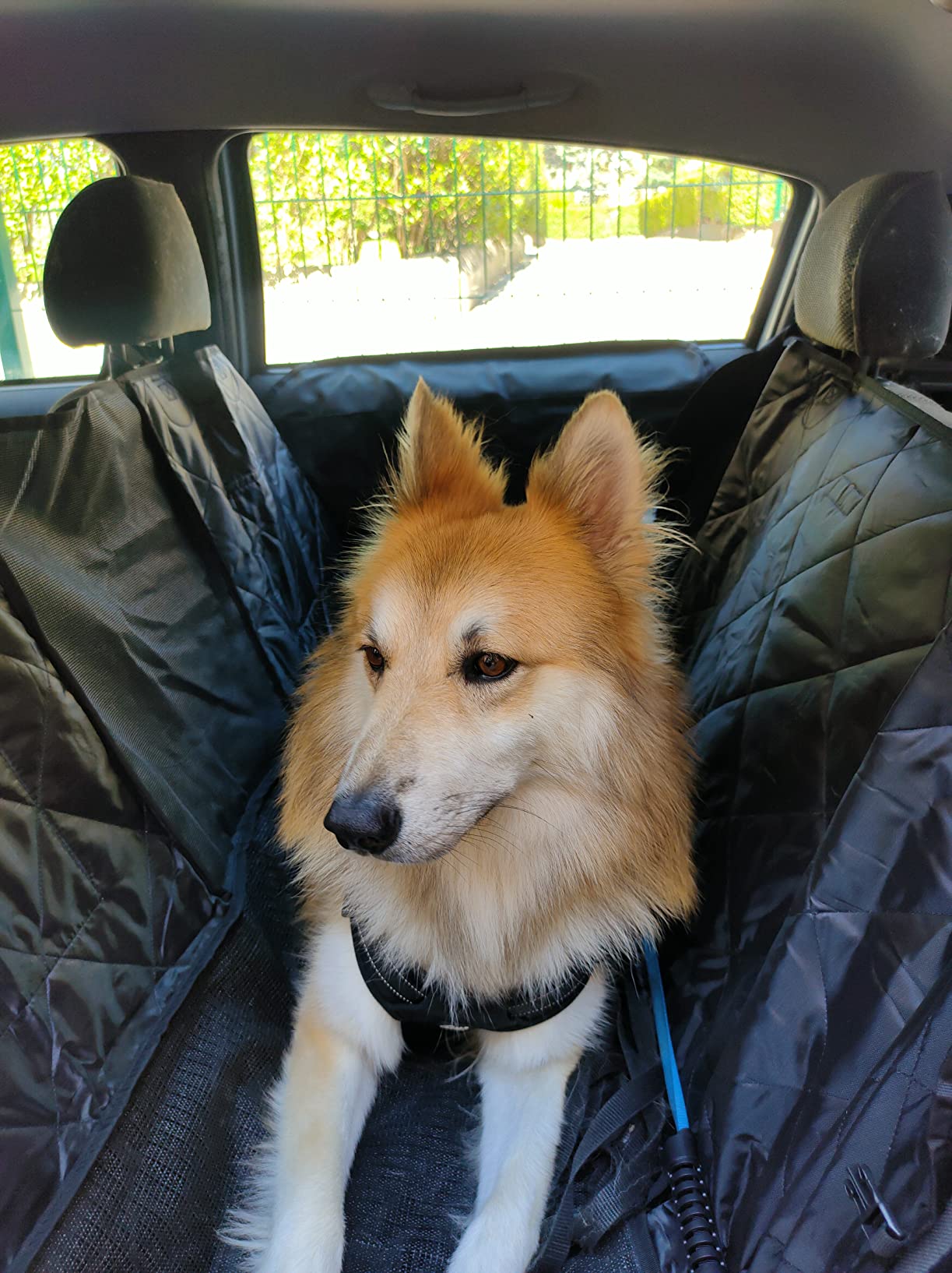 Looxmeer Trasportino Cani Auto Sedile Posteriore Nero 26kg