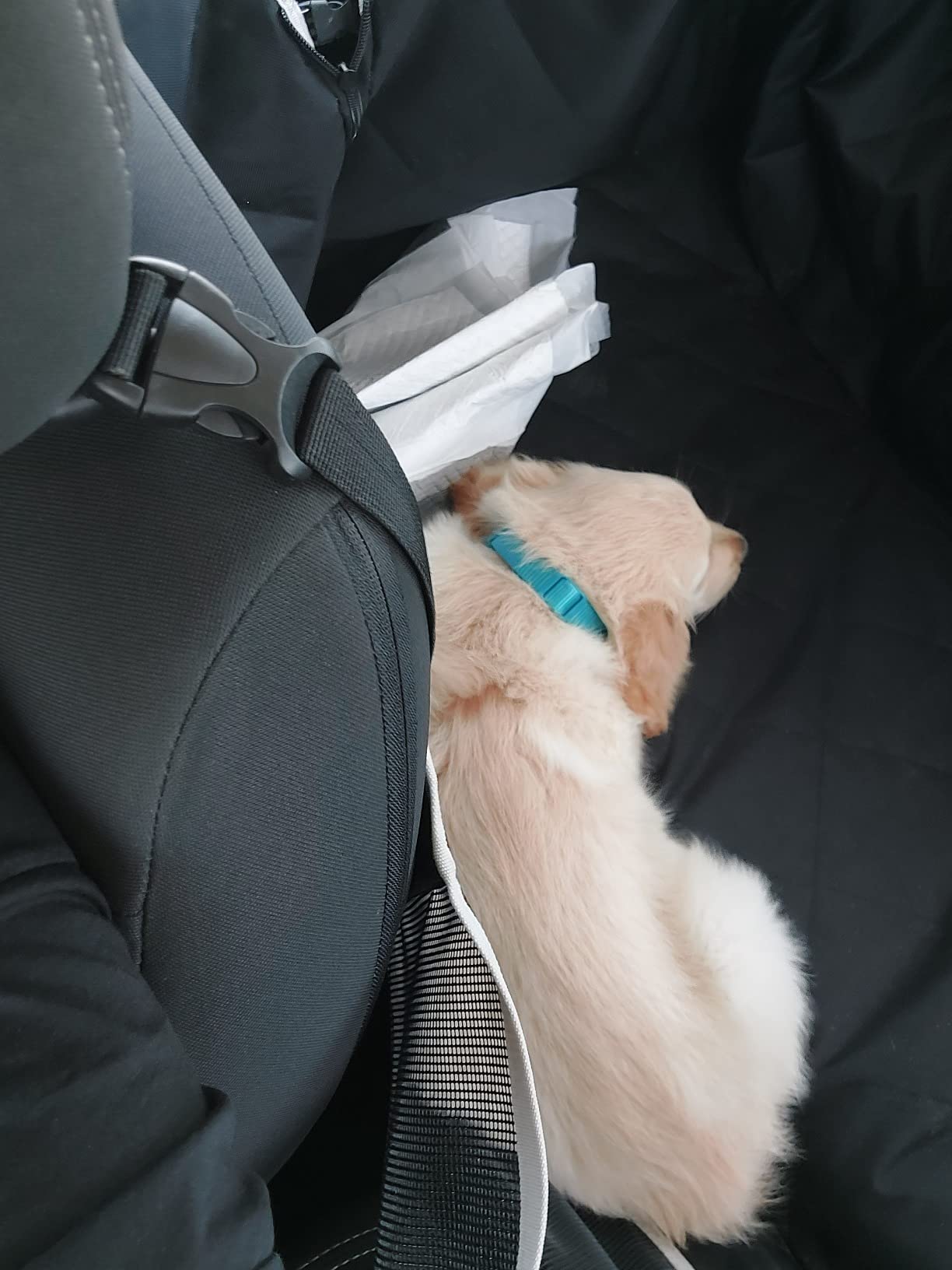 Looxmeer coprisedile auto per cani rete 147x137 cm nero