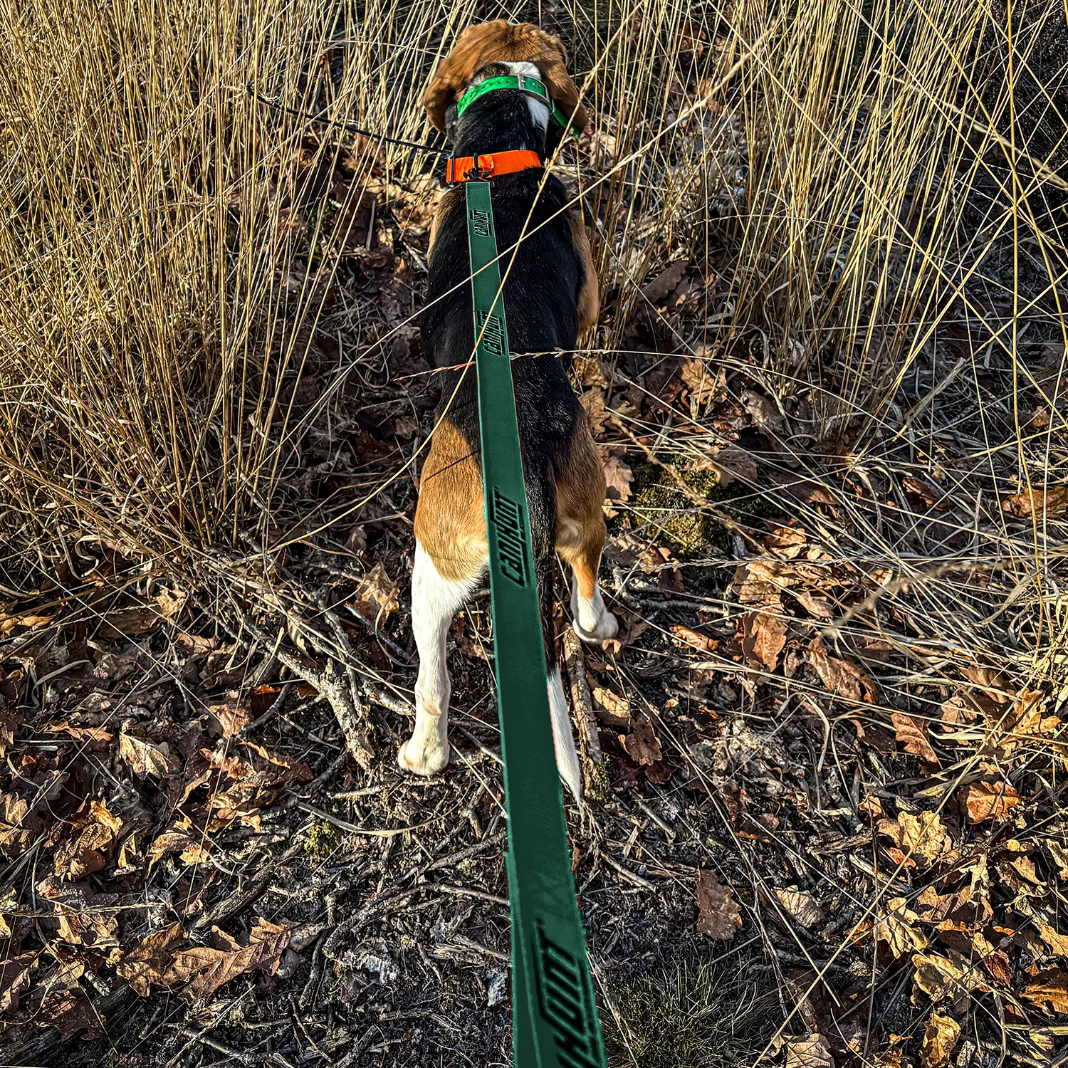 Canihunt Hunter First Guinzaglio Verde 120 cm