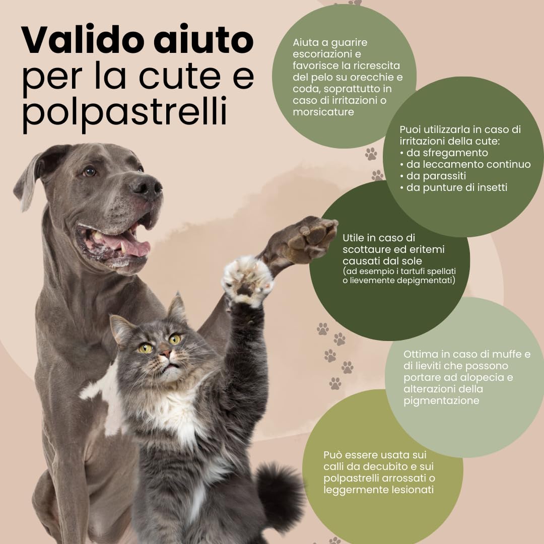 Camon Pomata Lenitiva 100g Cani Gatti Ossido Zinco