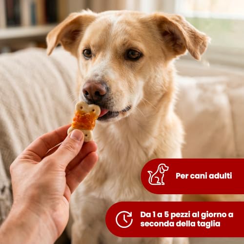 Camon Cookies Snacks biscotti pollo cani 100g