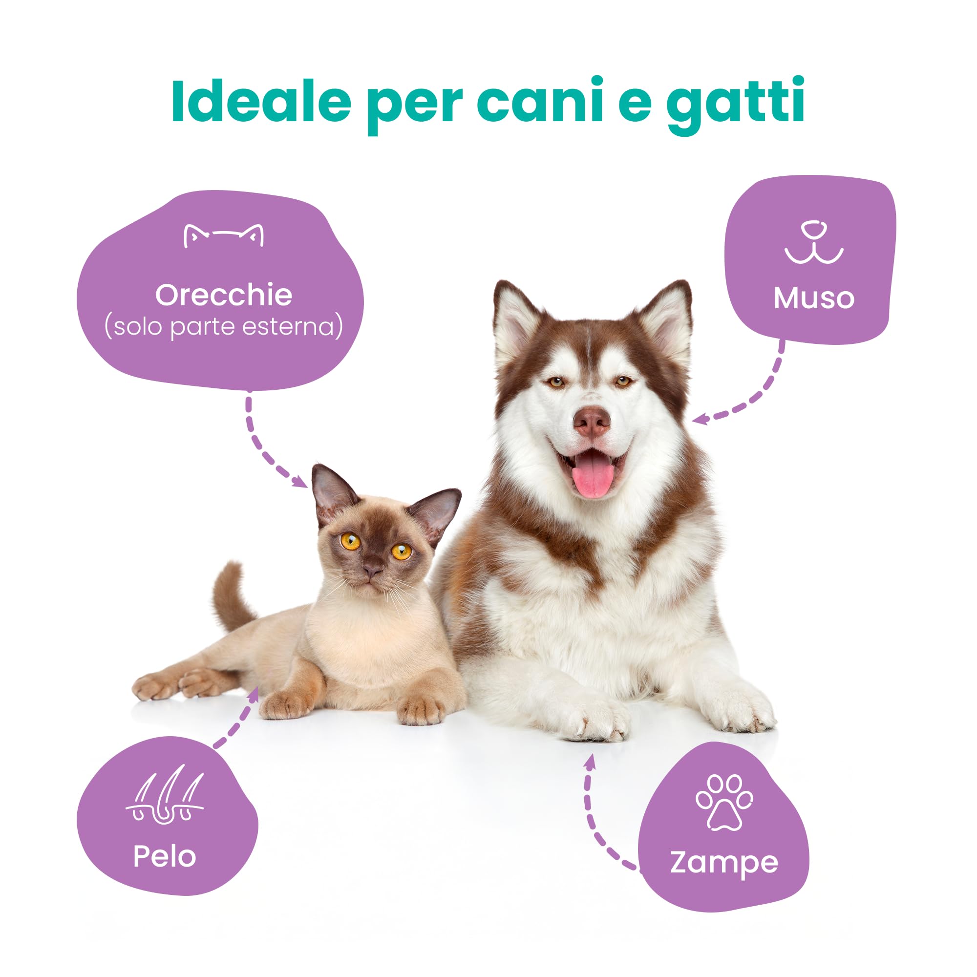 Camon Salviette Detergenti Cani e Gatti 40 Pezzi Muschio Bianco