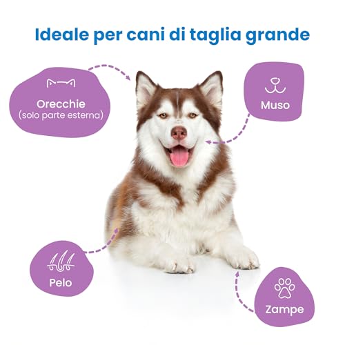 Camon Salviette Maxi Talco per Cani 18 Pezzi